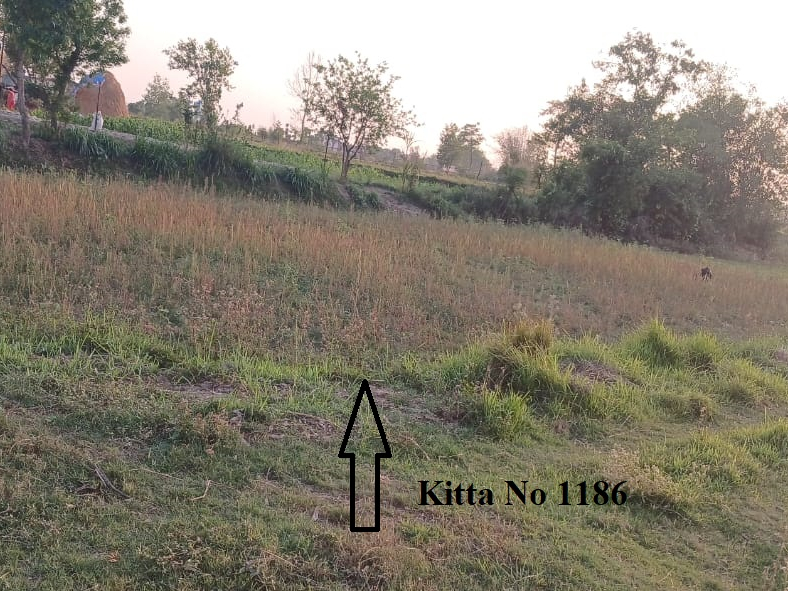 7 Days NBA auction Notice of Sagarmatha Multipurpose