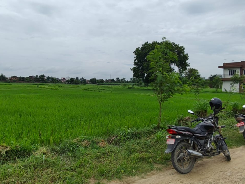 35 Days NBA  auction notice -Bishnu prd Bhusal