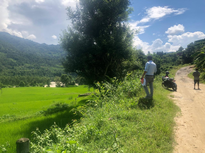 35 Days Auction Notice -Jalpa Shop