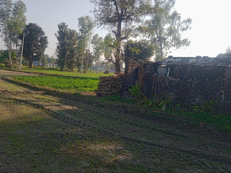 7 Days NBA Auction Notice -Himansu Krishi Firm