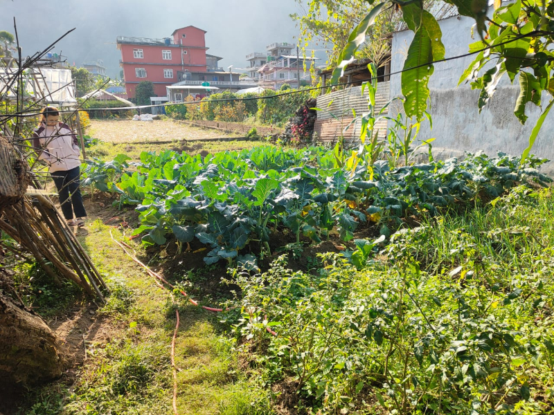 35 Days Auction Notice -Laxmi Shrestha