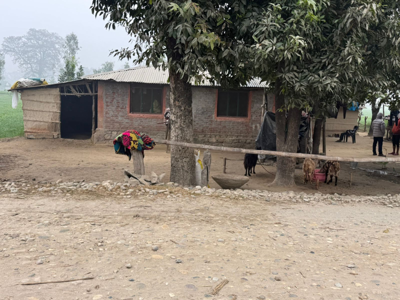 35 Days Auction Notice -Tulsi Traders