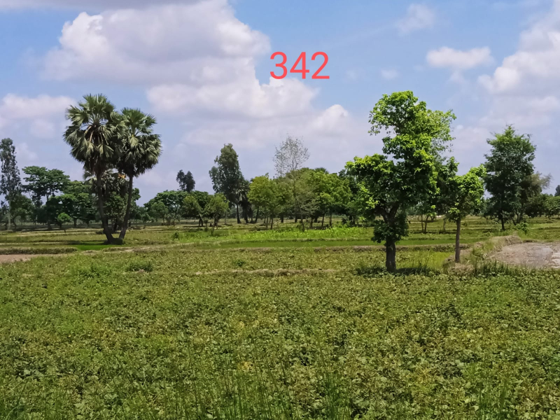 7 Days auction notice of Tirupati Balaji-107